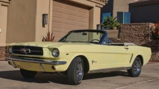 If This - 1964 1/2 Ford Mustang - Could Talk